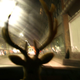 Image for article titled Five-Point Frenzy: When Deer Meets Car